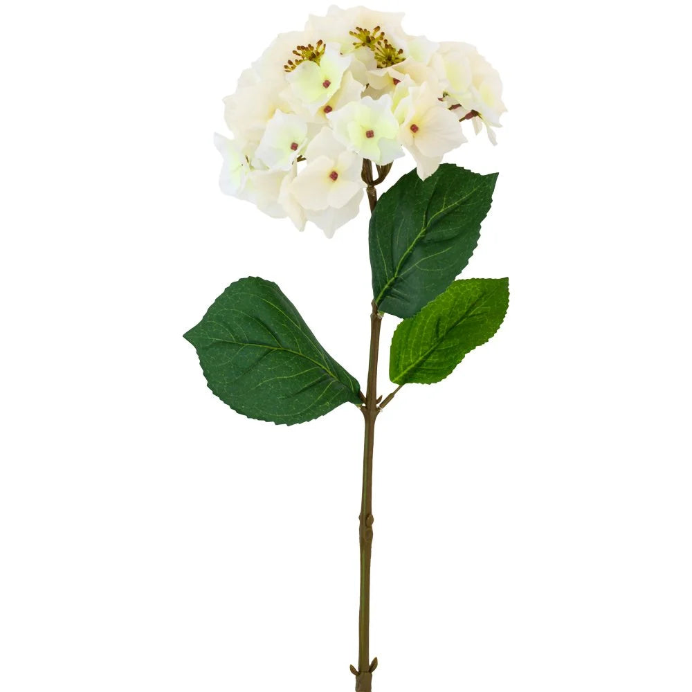 Hotensia White 47cm - Magnolia the Florist