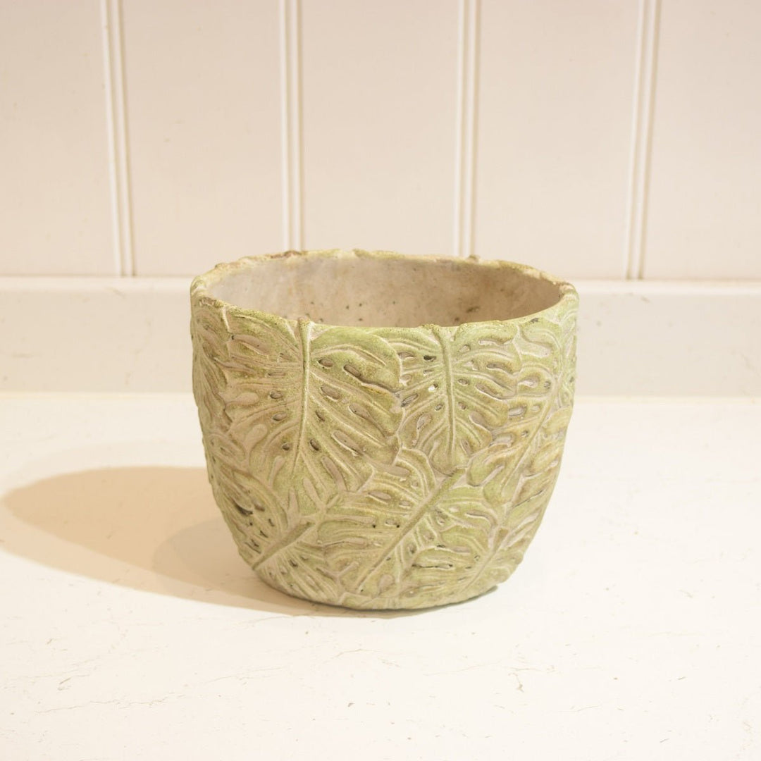 "Monstera" Oval Ceramic Vase Green - Magnolia the Florist The "Monstera" Oval Ceramic Vase is a beautiful home decor piece with an 18x10x16cm oval design and a detailed monstera leaf pattern. This elegant vase is crafted from ceramic and the classic green color makes it the perfect complement to your living space.