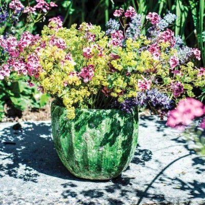 "PROVENCAL" Oval Ceramic Vase Forest Green - Magnolia the Florist Our Provecal-style range of glazed clay pots & vases have a distinct Mediterranean feel about them, as in this Provencal Oval Vase in Forest Green. They lend themselves beautifully to our range of Faux Succulents for a style that is both calming and botanical. They would also look great with Spring bulbs.Dimensions: 18x10x16cm
