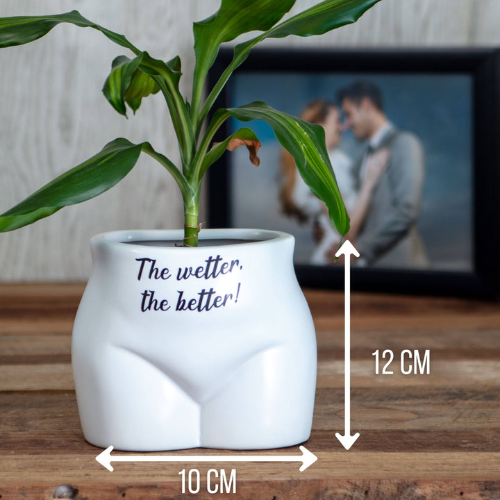 Put Some Plants On - The Wetter, The Better - Ceramic Pot