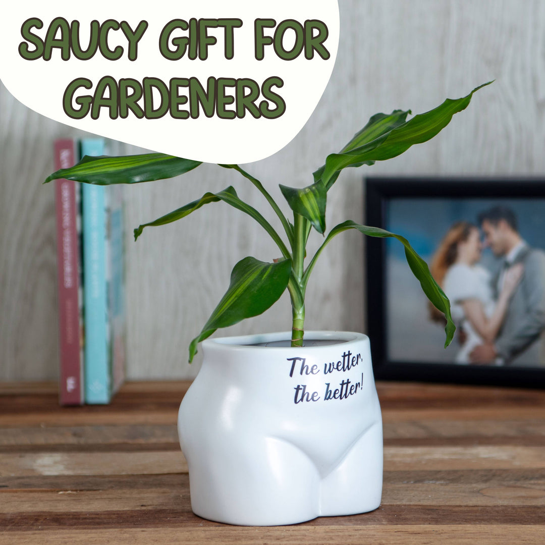 Put Some Plants On - The Wetter, The Better - Ceramic Pot