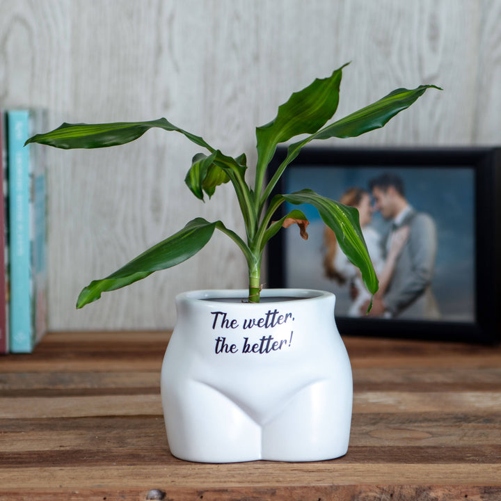 Put Some Plants On - The Wetter, The Better - Ceramic Pot