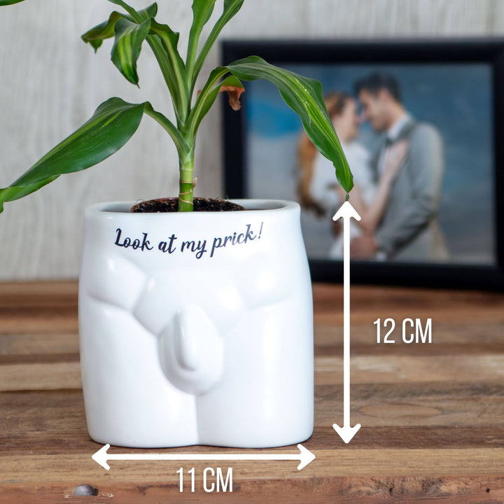 Put Some Plants On - Look At My Prick - Ceramic Pot
