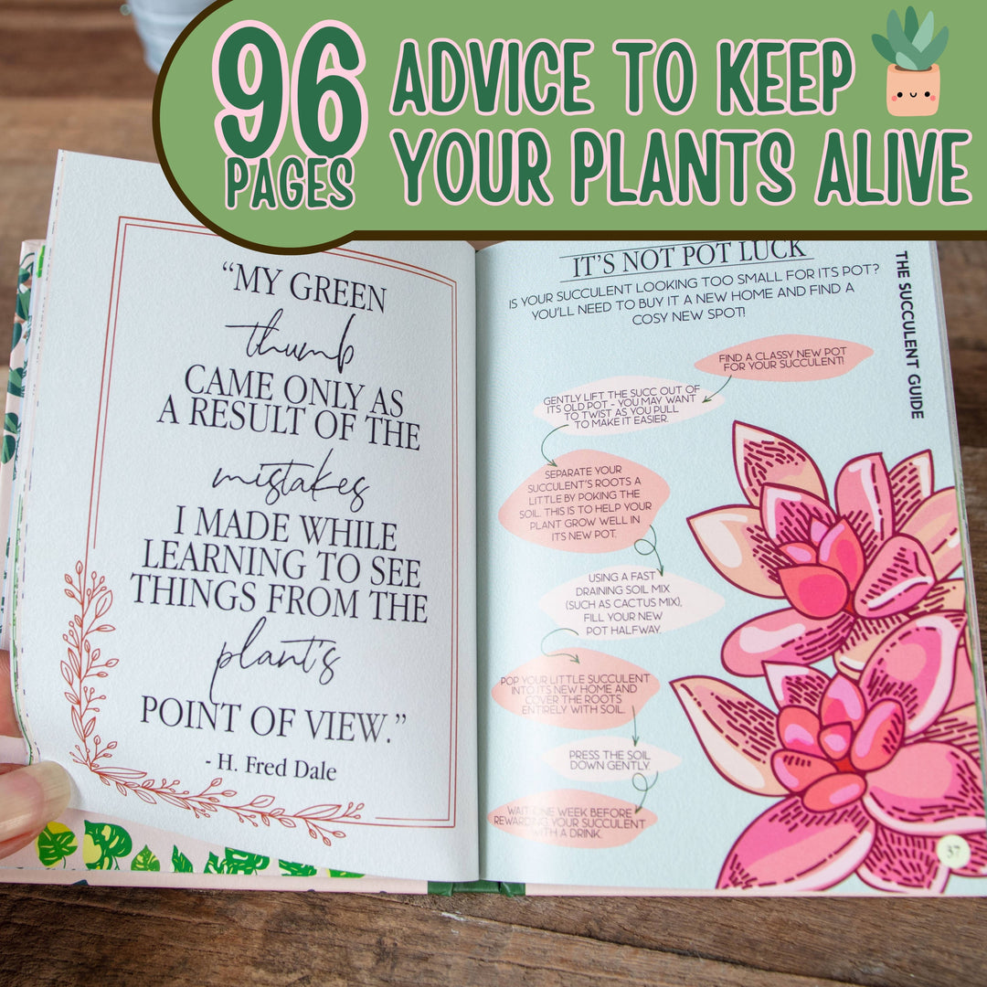 Houseplant Survival Guide - Indoor Plant Tips and Tricks