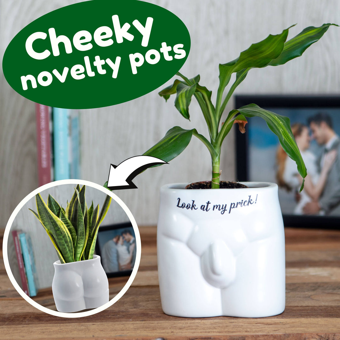 Put Some Plants On - Look At My Prick - Ceramic Pot
