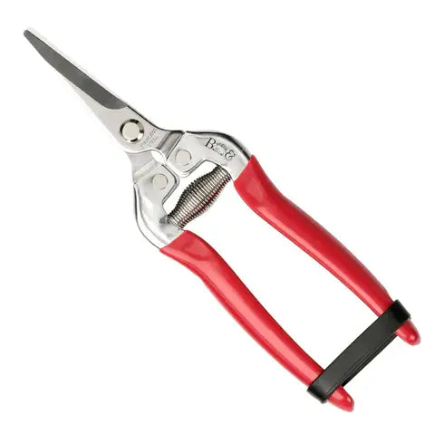 British Bloom - Gift Boxed Snip & Holster