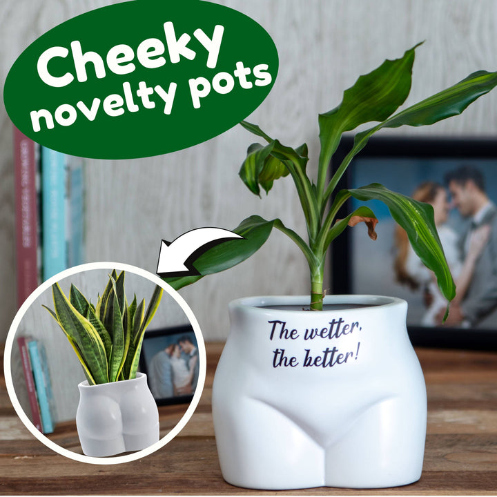 Put Some Plants On - The Wetter, The Better - Ceramic Pot