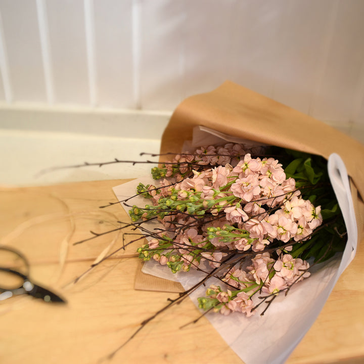 Scented Stock En Mass