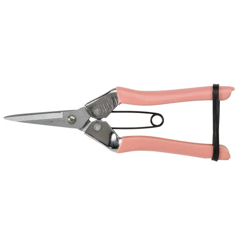 Collectors Blush Fruit and Flower Snips