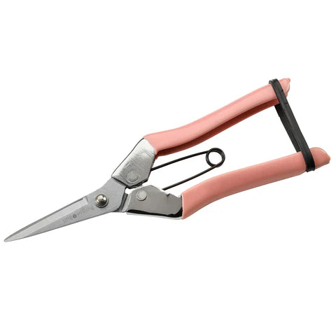 Collectors Blush Fruit and Flower Snips