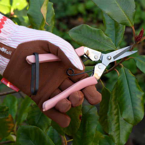 Collectors Blush Fruit and Flower Snips