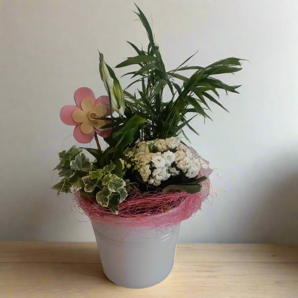 A greay coated zinc container planted with mini house plants, typical plants are palm, mini peace lily, ivy and kalenchoe, those these may vary due to stock.