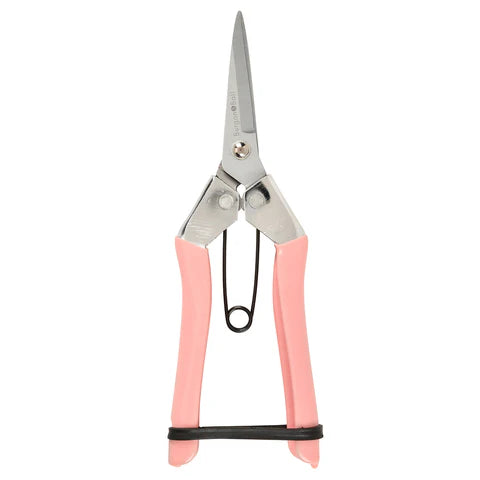 Collectors Blush Fruit and Flower Snips