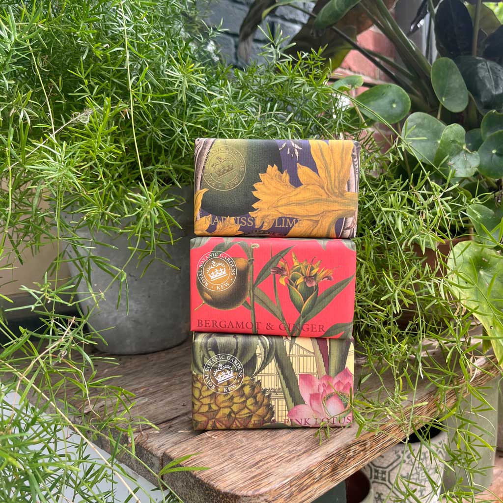 Kew Gardens Bergamot and Ginger Soap (240g)