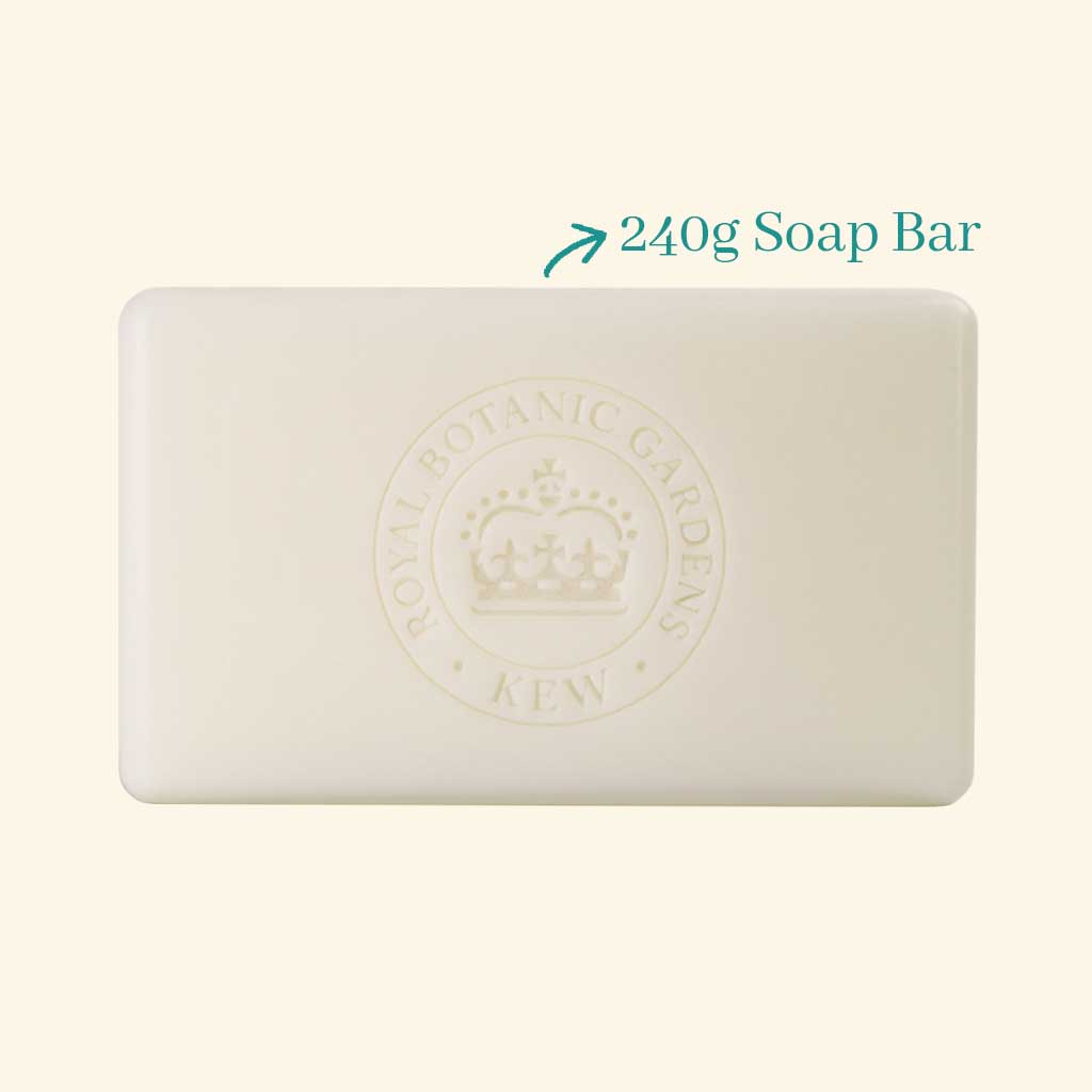 Kew Gardens Narcissus Lime Soap (240g)