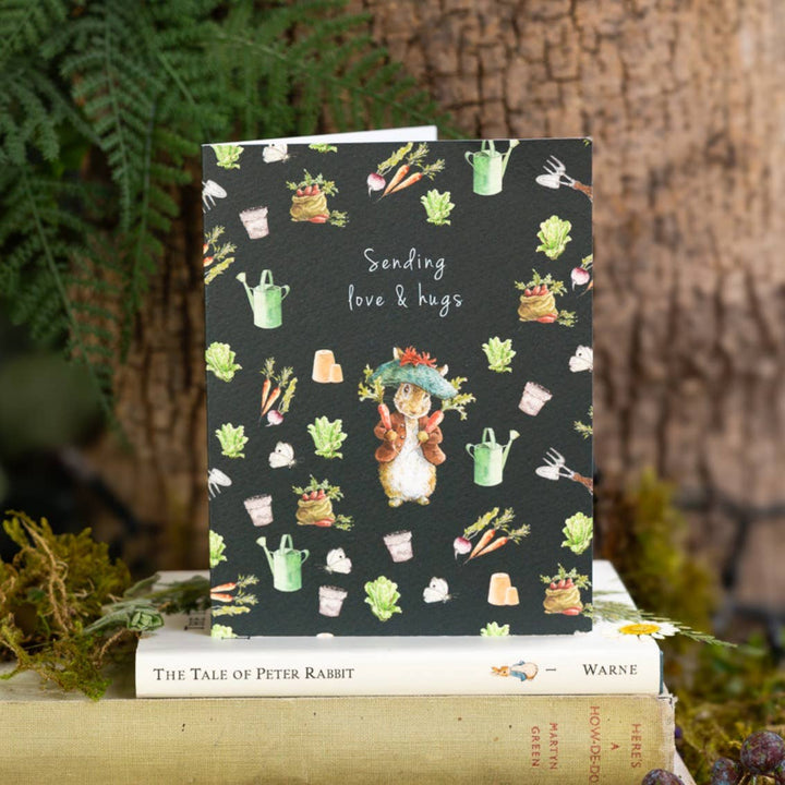 Sending Love &amp; Hugs (Benjamin Bunny) Card