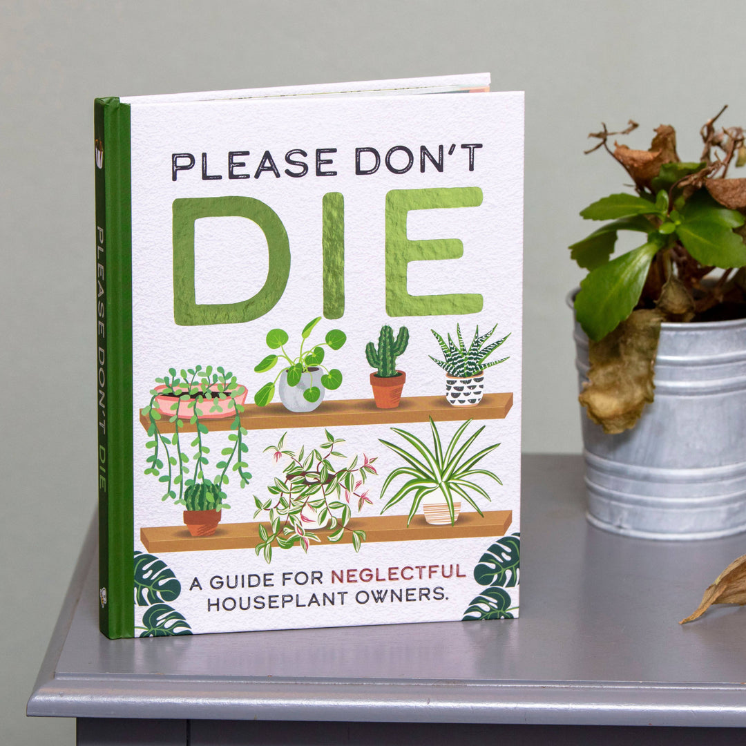house plant gifts uk Magnolia the Florist |Please Don't Die