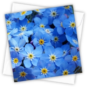 Forget Me Nots Card