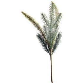 Frosted Fir Sprig